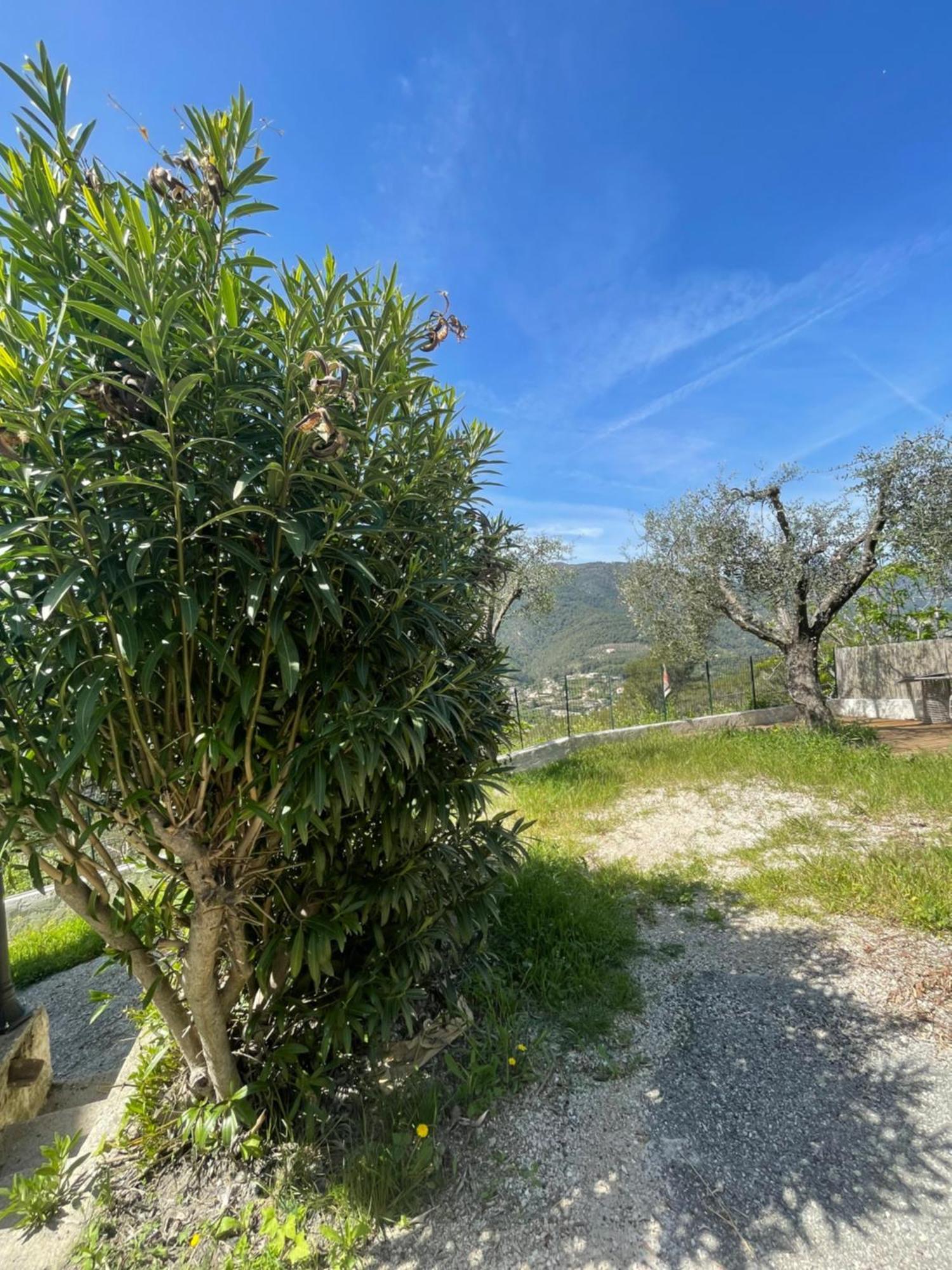 Charme Provencal Pres De Nice Blausasc Exterior foto